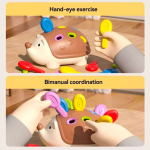 רק 4.6$/14 ש״ח לצעצוע קיפוד חינוכי לילדים עם התאמת צבעים ומספרים שמפתח מוטוריקה עדינה ולמידה דרך משחק!!