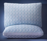 רק 19.9$/63 ש״ח (משלוח חינם בהגעה לסכום כולל של 49$ ומעלה) לסט של 2 כריות ויסקו איכותיות עם קירור, בד במבוק נושם ומילוי מתכוונן – מושלם לשינה נוחה לגב, בטן או צד!!