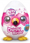 דיל מקומי: קבלו את Pets Alive Chirpy Birds בגובה 23 ס"מ של Zuru!! סדרת ביצי ההפתעה שכבשה את ישראל במבצע חדש!!